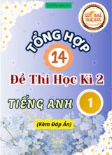 Tổng hợp 14 Đề thi học kì 2 Tiếng Anh 1 Global Success (Kèm đáp án)
